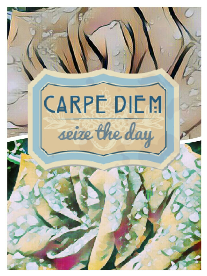 Carpe Diem - seize the day